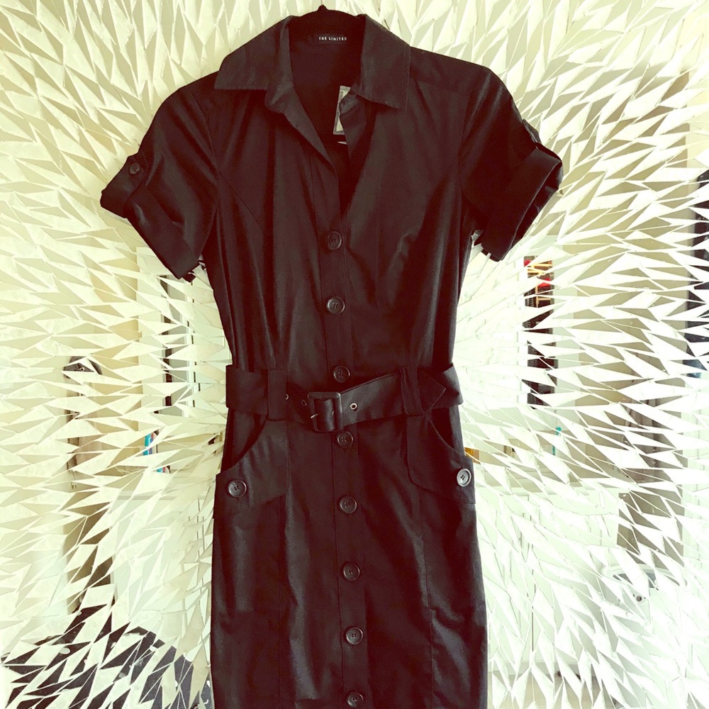 The Limited Shirt Dress